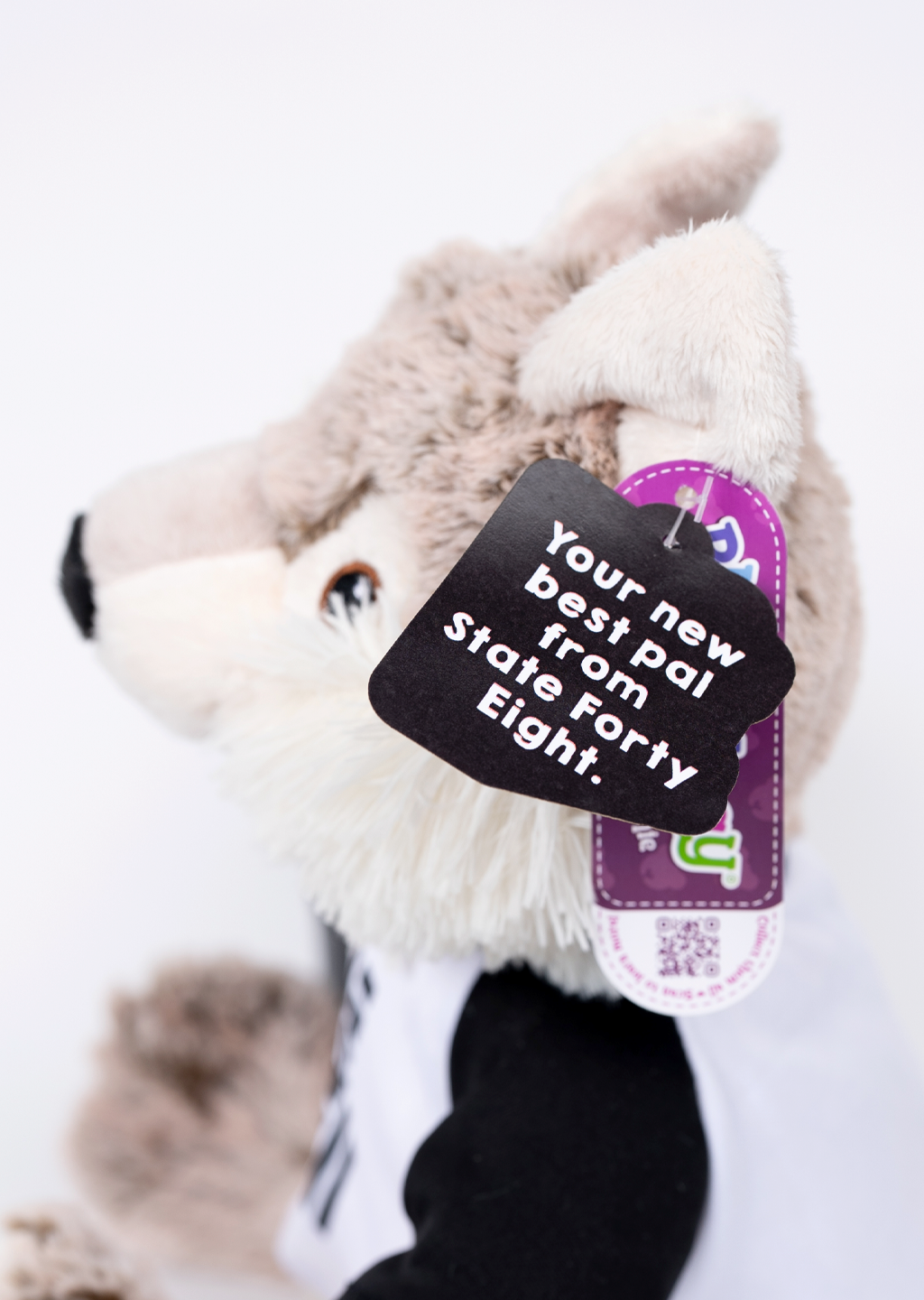 Coyote | White & Black