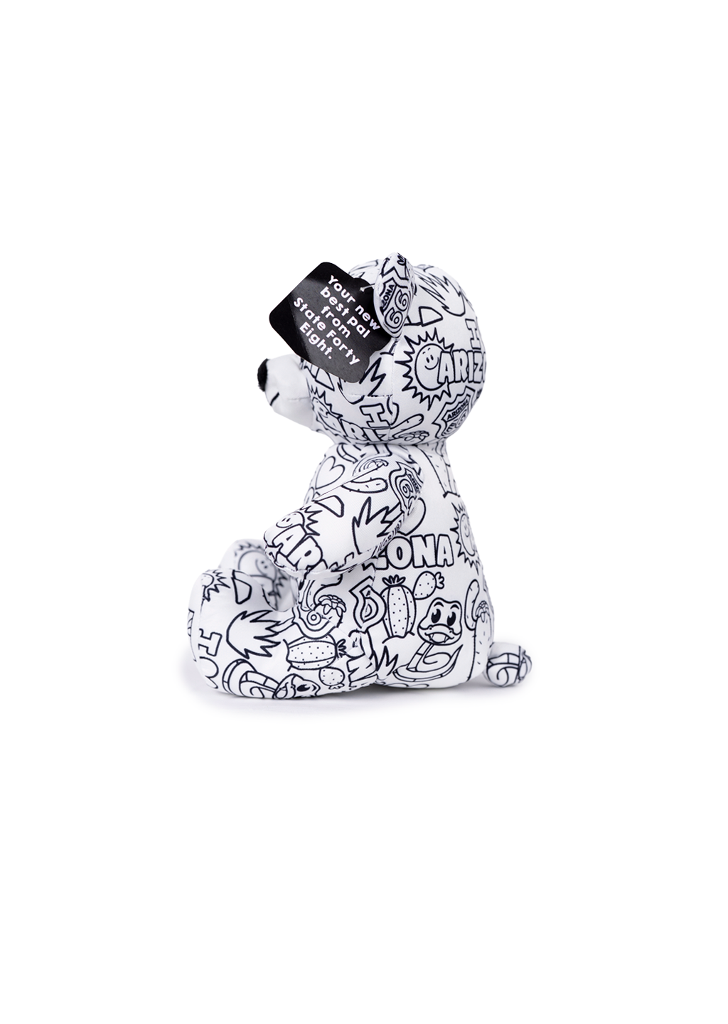 Teddy Bear | Color Me Arizona 