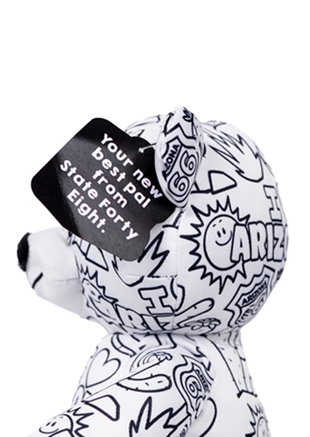 Teddy Bear | Color Me Arizona 
