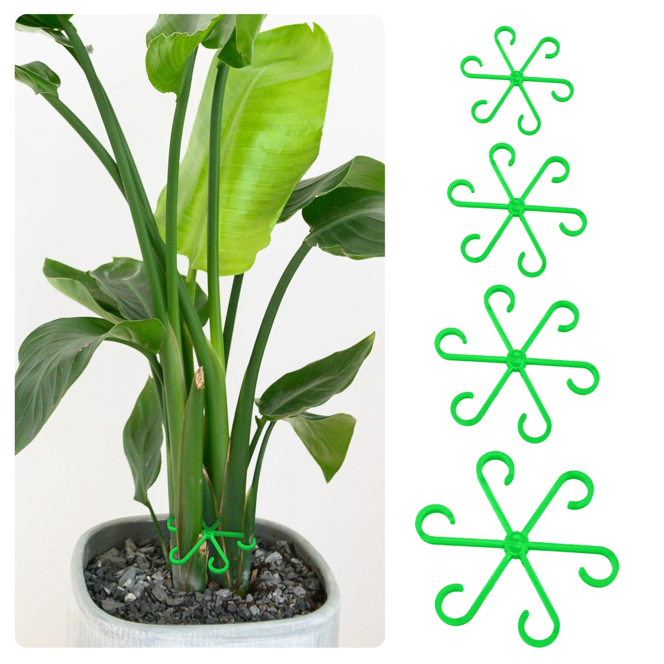 🏆Flash Sale⚡ 50K+ SOLD! Almost Gone-🌿Plant Stem Support Set